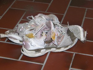 Climacool6.jpg