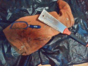 P_20140623_201530.gif