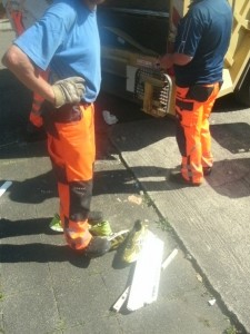 Müll0714 020.jpg (169.5 KiB) 7132 mal betrachtet Dem einen Müllmann fiel es erst später auf, dass er mit seinen derben Arbeitsschuhen auf seinen weichgelatschten Opfern stand ... !