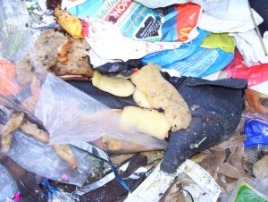 Müll0409 604.jpg (250.45 KiB) 11687 mal betrachtet Eigentlich schon ein "fester Bestandteil" dieses Müllbergs.