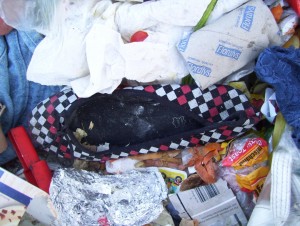 Müll0409 607.jpg (232.54 KiB) 11687 mal betrachtet Vielleicht vermisst ein junges Girl seine heißgeliebten karierten Ballerinas und die Mutter spielt den Unschuldsengel?