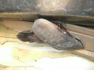 Ein typisches Ende von Schuhen und Stiefeln bei der Sperrmüllabfuhr! Die sind nichts mehr für die Füße!