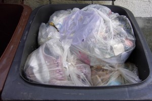 Müll0409 005.jpg (224.33 KiB) 9523 mal betrachtet Auf den allerersten Blick alles wie immer; so wie es halt aussieht, wenn man einen Mülltonnendeckel öffnet ... !