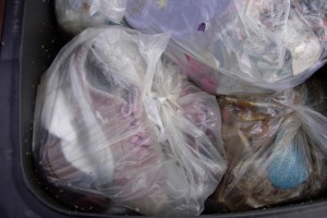 Müll0409 004.jpg (255.6 KiB) 9523 mal betrachtet Doch was ist da geiles im Müllbeutel drin; - und was krabbelt da an der Tonnenwand und schon auf dem Müllbeutel?!