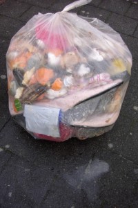 Nach nur wenigen Minuten lief schon die eklige Müllbrühe durch eine undichte Stelle aufs Pflaster.