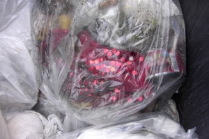 Selbst aus dem Müllbeutel schimmert das sündige Lumpchen noch verführerisch!