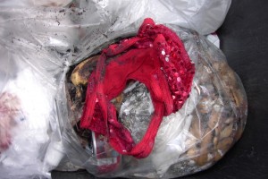 Müll0409 024.jpg (249 KiB) 9349 mal betrachtet Den sexy Tanga hätte ich gerne mal an der Besitzerin gesehen, bevor er in den Müll musste.