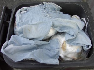 Müll0409 793.jpg (222.29 KiB) 9209 mal betrachtet Die Lieblingsjeans von einer "meiner" Mädels.