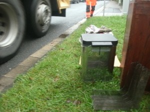 Müll1014 118.jpg (204.13 KiB) 6885 mal betrachtet Gleich ist der Grünstreifen wieder "sauber"!