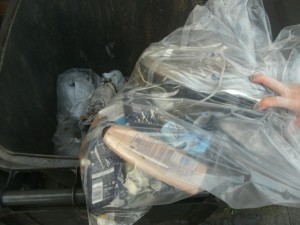Müll1014 247.jpg (172.45 KiB) 2818 mal betrachtet Weg mit dem Dreck!