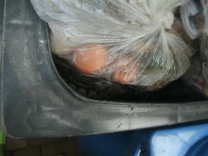 Müll1014 263.jpg (182.63 KiB) 5530 mal betrachtet Die Asics lagen nun noch ziemlich tief im Dreck, obwohl sie doch die "letzten" waren, die diesmal in unsere Mülltonne kommen.