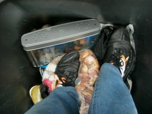 Müll1114 055.jpg (170.56 KiB) 5137 mal betrachtet Auf weichem Müll rumzulatschen ist gar nicht so einfach wie es aussieht, denn es gibt bei einer solchen "Mischung" immer Überraschungen, wenn eine Ecke unerwartet stark nachgibt.