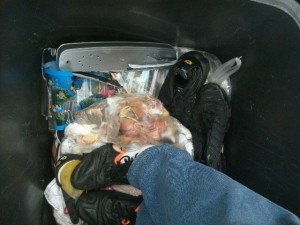 Müll1114 059.jpg (199.13 KiB) 5138 mal betrachtet Die "toten" Pumas mussten auch noch eingestampft werden.