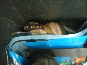 Müll1114 061.jpg (205.84 KiB) 5151 mal betrachtet Ein "letzter güldener Gruß"?!