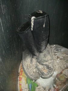 Noch stehen die Dreck-UGGs halbwegs aufrecht in der Mülltonne; - noch!