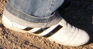 SE8238.JPG