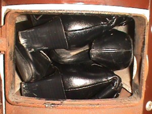 VB8981.jpg
