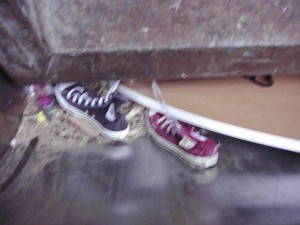 Müll1011 017.jpg (82.75 KiB) 14465 mal betrachtet Zittern vor Geilheit - eine zumindest gut klingende Ausrede für solch miese Fotos.