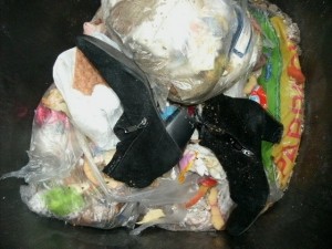 Aus dem anderen Küchenmüllbeutel &quot;befreite&quot; ich Tamaras Wildleder-Stiefeletten, an denen noch Brotkrumen von den alten Toastbrot- und Knäckebrotscheiben klebten.