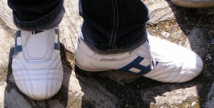 SE7281.jpg