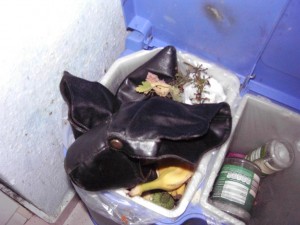So schlampig und lustlos in den Küchenmülleimer geworfen, konnte das eigentlich nur Laura gemacht haben.