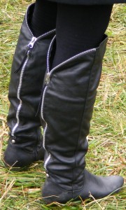SE0739.JPG
