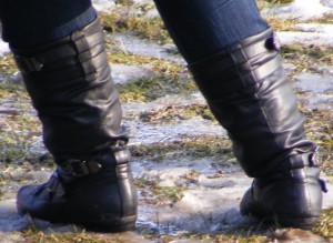 SF5110.JPG