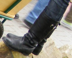SE7037.JPG