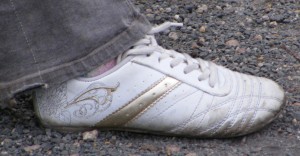 SE8203.jpg