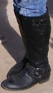 SF5011.JPG