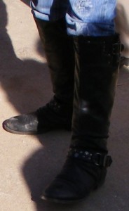 SF5013.JPG