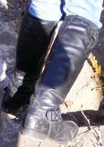 SF5021.JPG