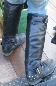 SF5061.JPG