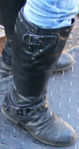 SF5067.JPG