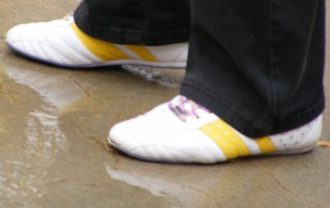 SE0399.jpg