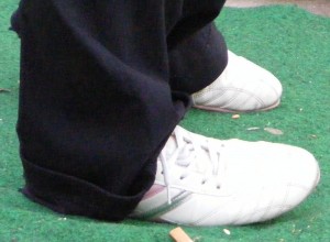 SE0390.jpg
