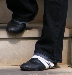 SE7290.jpg