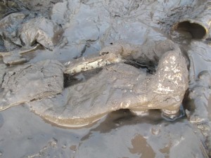 Ein - ehemals weißer - Nike-Shox-Schuh hatte hier seine "letzte Ruhestätte" gefunden.