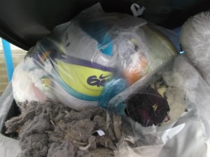 Die tollen Nike ID zwischen Küchenabfällen und Kehricht - dieser Anblick tat weh!