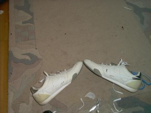 0040.jpg