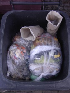 Lauras - ehemals - weiße Chucks kamen dazu im Küchenmüllbeutel.
