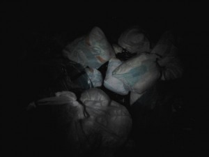 Foto0308.jpg