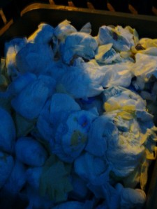 Foto0328.jpg