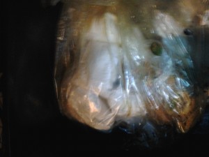 Foto0306.jpg