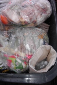 Müll0112 063.jpg (349.15 KiB) 5865 mal betrachtet Tamaras Winterstiefel versinken gerade im Dreck!