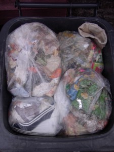 Müll0112 067.jpg (304.82 KiB) 7531 mal betrachtet Deutlich sieht man die Venice-Peeptoes, die auch schon tiefer in den Dreck gesunken sind. Jetzt kann man den Schriftzug auf den Sohlen nicht mehr sehen.