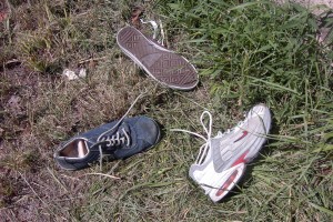 Müll1111 026.jpg (482.85 KiB) 28519 mal betrachtet Alle nur einzeln!