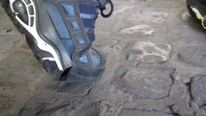 vlcsnap-2015-06-01-17h16m26s834.png