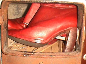 SE72025-19.jpg