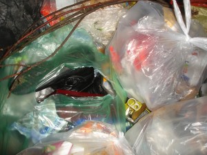 5438.jpg (267.01 KiB) 11620 mal betrachtet kleine Winterstiefelchen, die bei uns in der großen 1,1m³-Tonne landeten...doch sie sind gerettet und noch bei mir *g*
